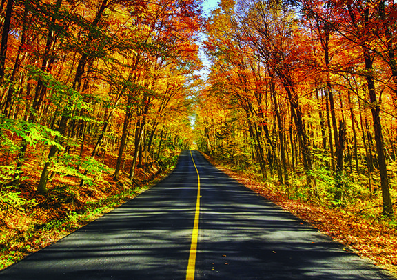 Cincinnati Fall Foliage & Drives