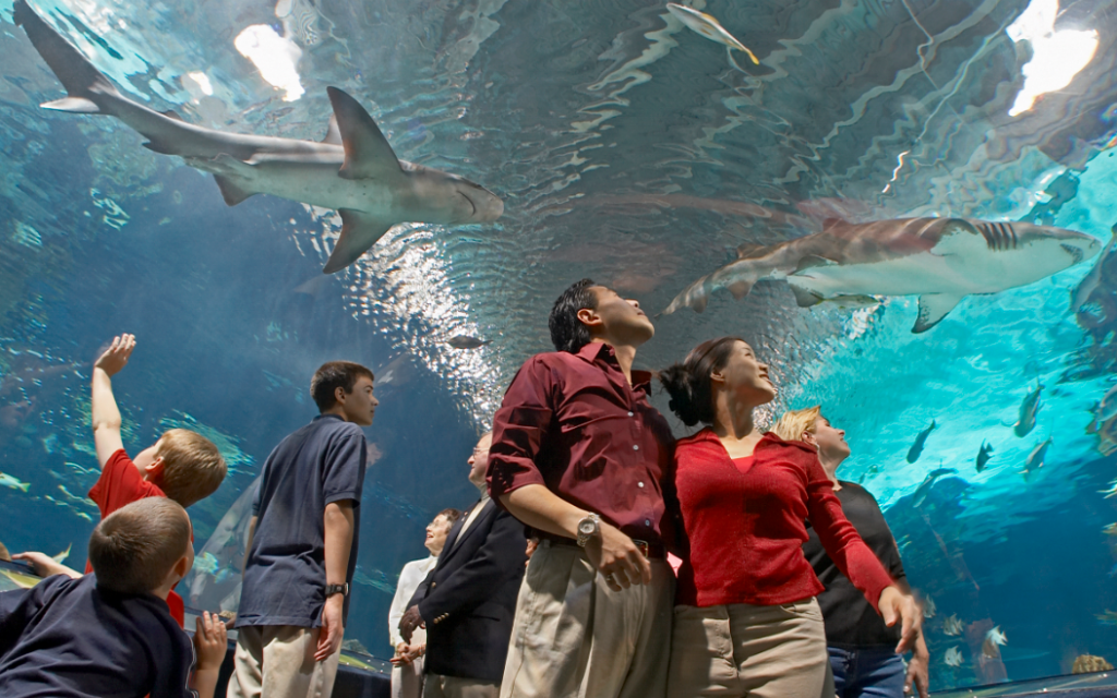 indoor dates Newport Aquarium