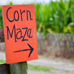 Greater Cincinnati Corn Mazes