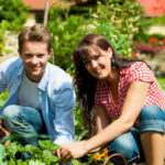 Gardening advice for couples
