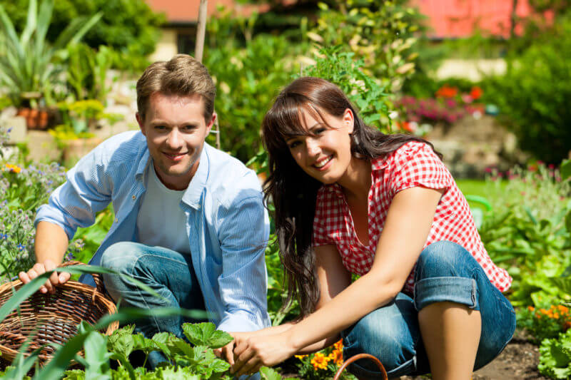 Gardening advice for couples