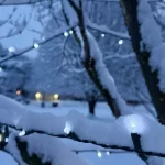 Books to Read on Snow Days